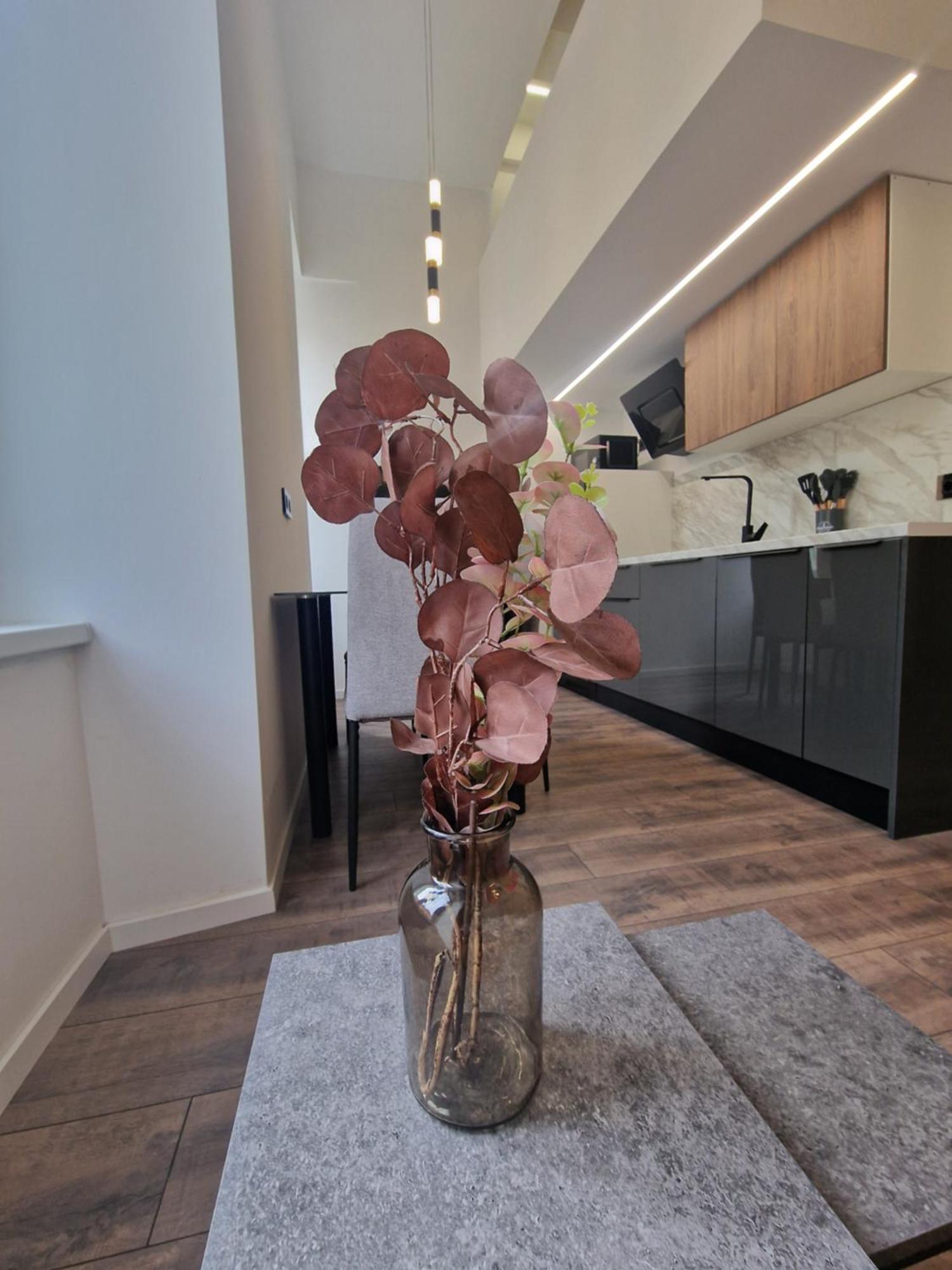 Veneziana Apartments Rijeka Bagian luar foto